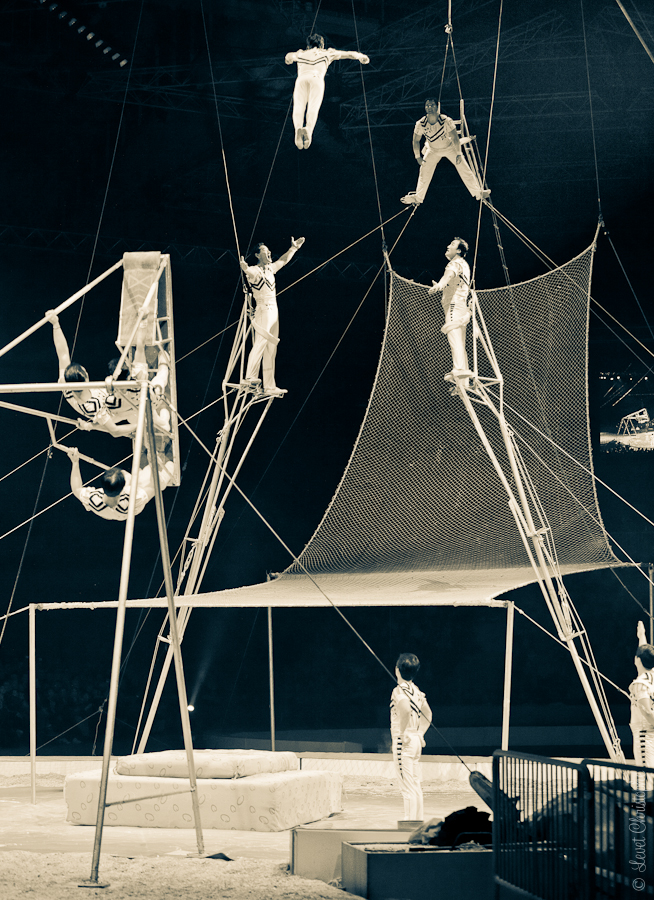 Festival du Cirque de Grenoble ©www.levetchristophe.fr